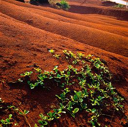 冒险游戏《我们永远在这》5月10日登陆PC 双人合作解开谜题